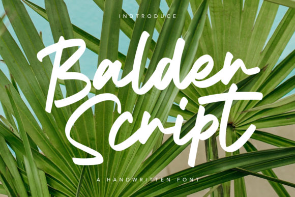 Balder Script: A Beautiful Typeface for Web Design